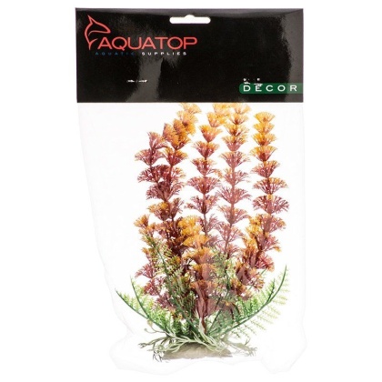 Aquatop Cabomba Aquarium Plant - Fire - 6\